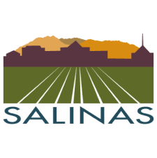 salinas logo