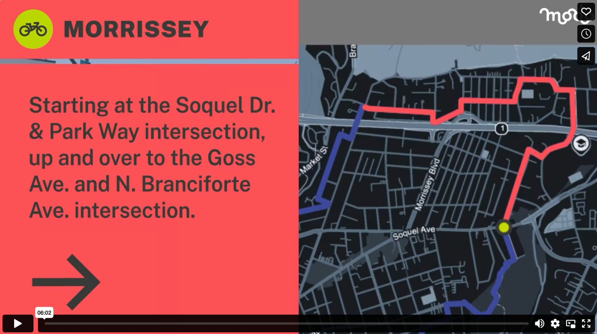 Morrissey Segment